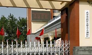 武汉被撞小学生妈妈