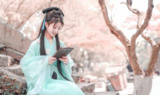 赐死公主府面首是什么意思