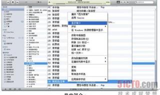因为爱情铃声下载