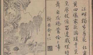 留连戏蝶时时舞的下一句